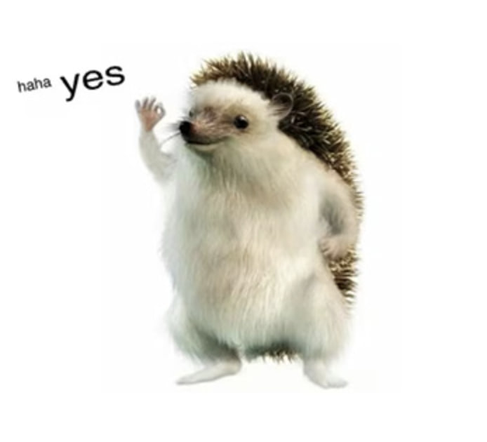 BAGELS