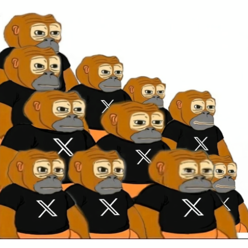 XMONKEY