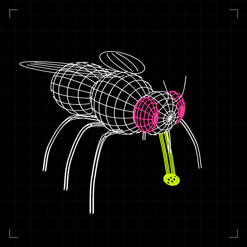FLYPAD