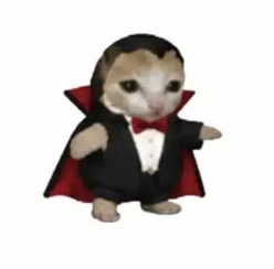 VAMPCAT