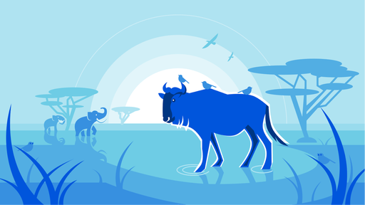 wildebeest