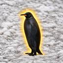BLACKKING