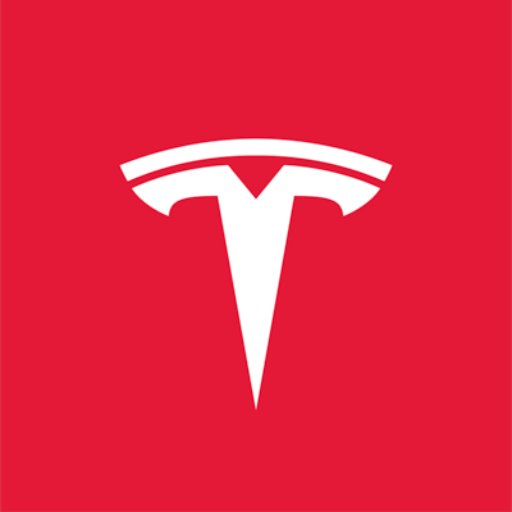 TeslaX SpaceX logo