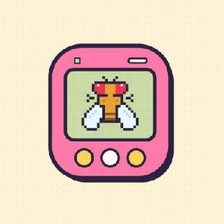 TAMA