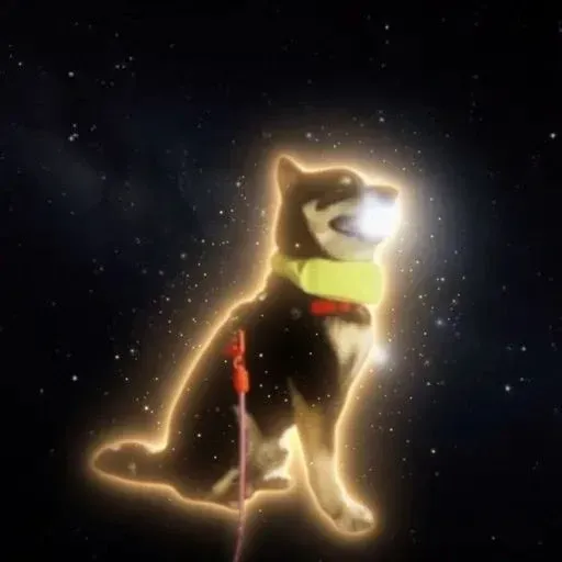 Mooner Inu