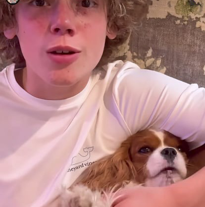 67dog