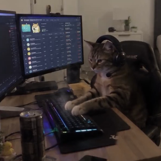 TRENCHCAT