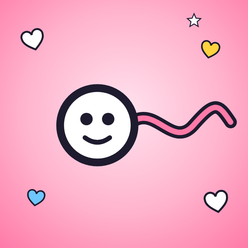 Womb