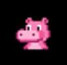 HIPPO