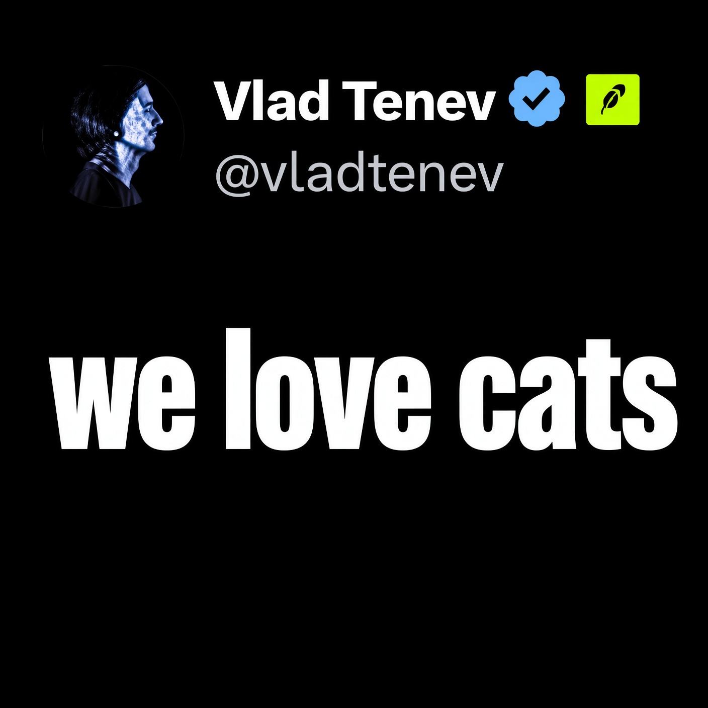 WELOVECATS