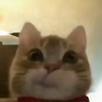 jeff