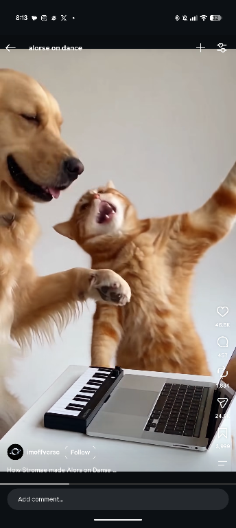 DANSE