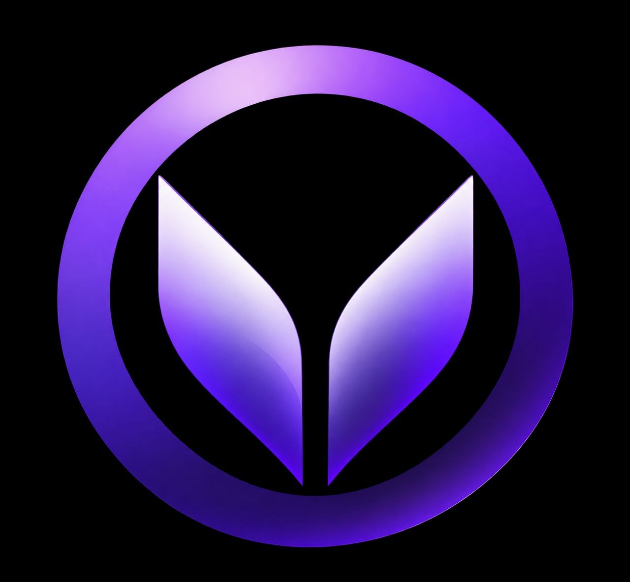 VeilPay