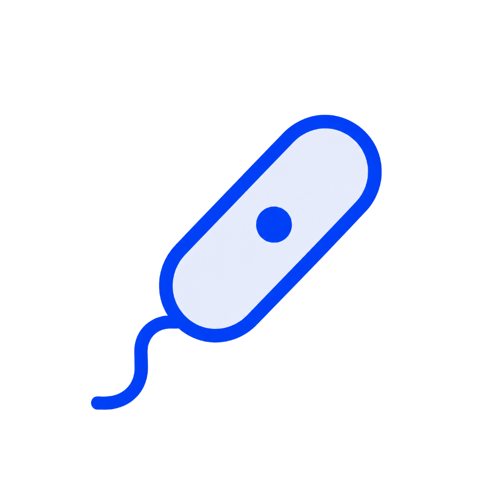 BACTERIA