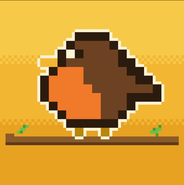 ROBIN