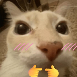 👉👈