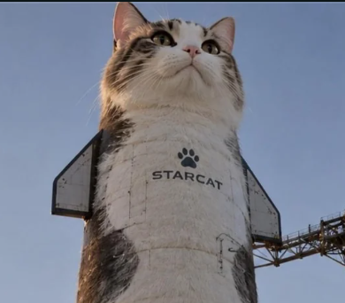 STARCAT