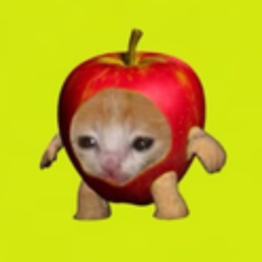 AAPLCat