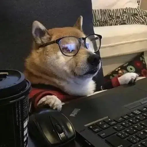 Trenchdog