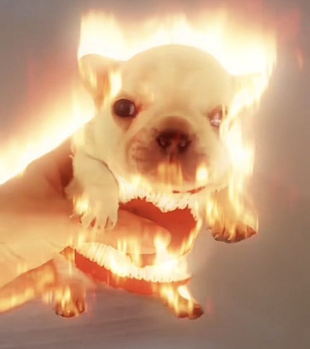 PIBBLE