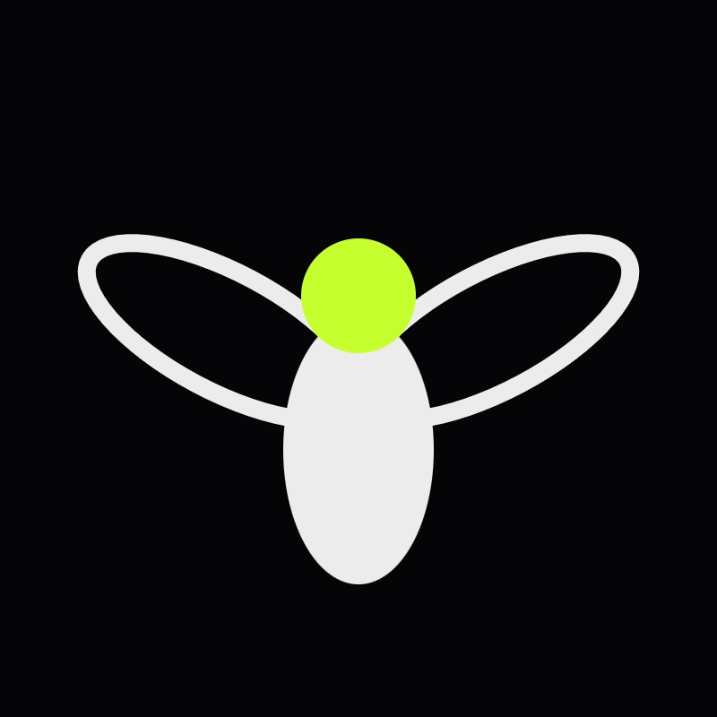 FLYTEK