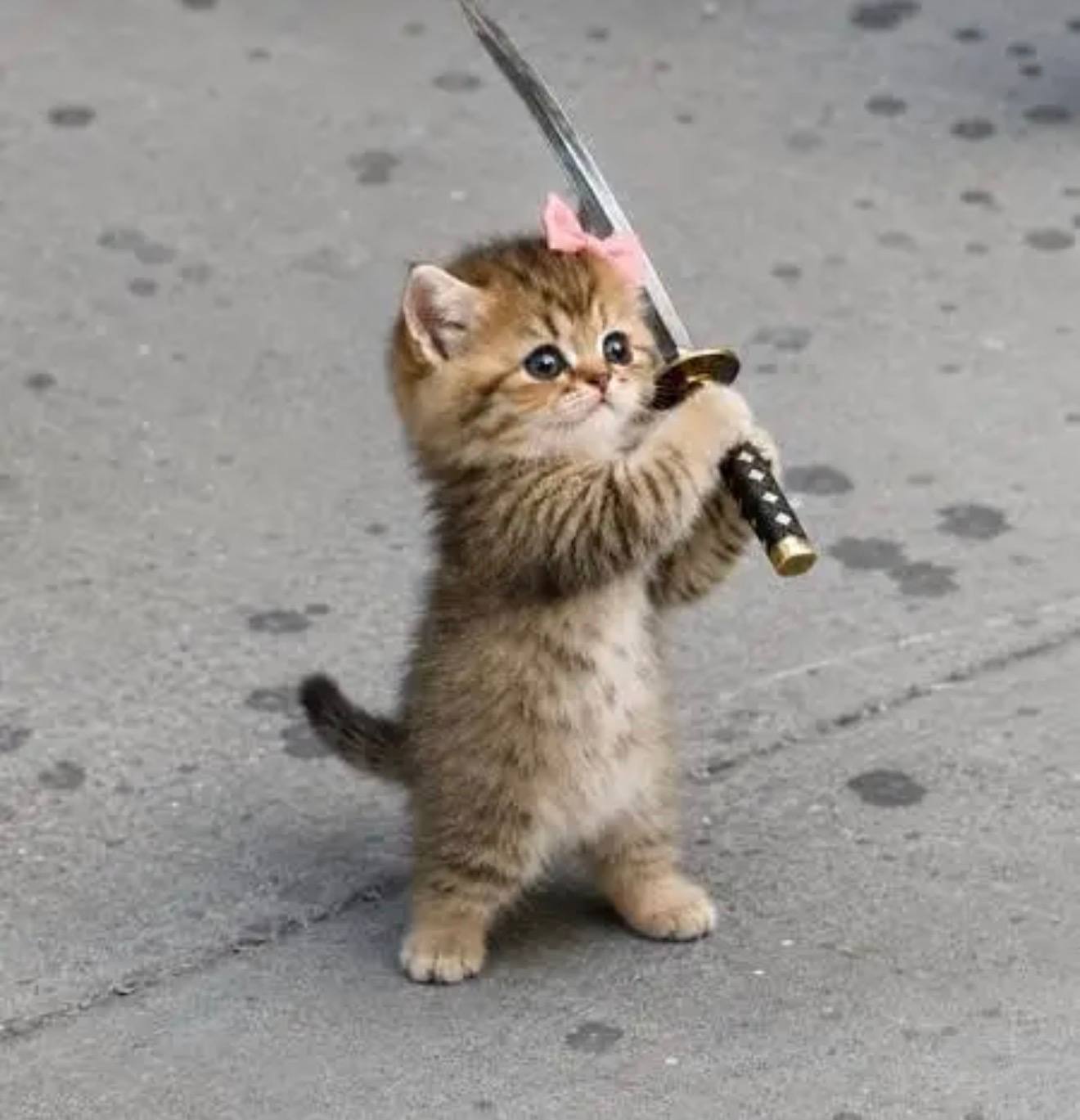 CATANA