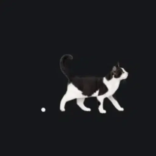 .meow