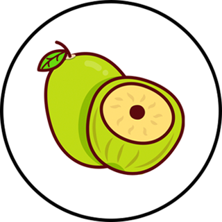 JUJUBE