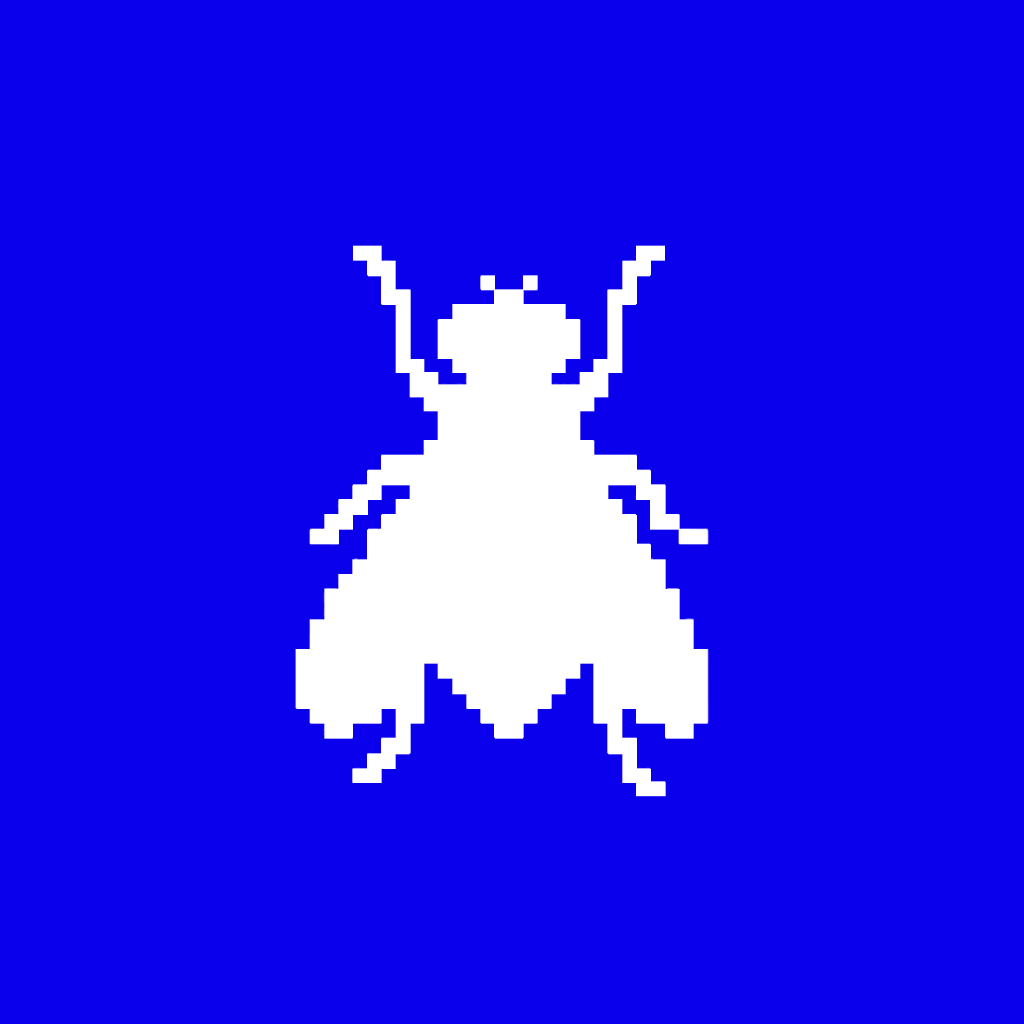 FLY