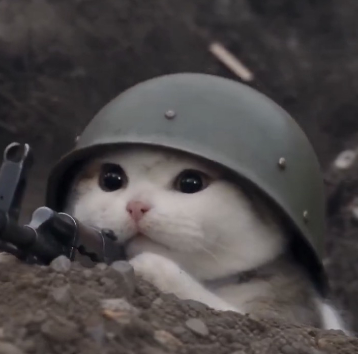 trenchcat