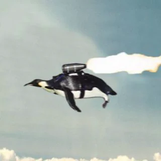 PENGU