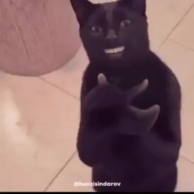 CLAPCAT