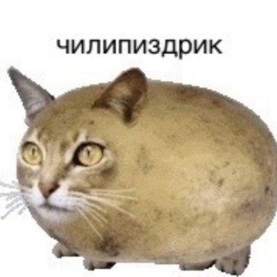 Chilipizdrik