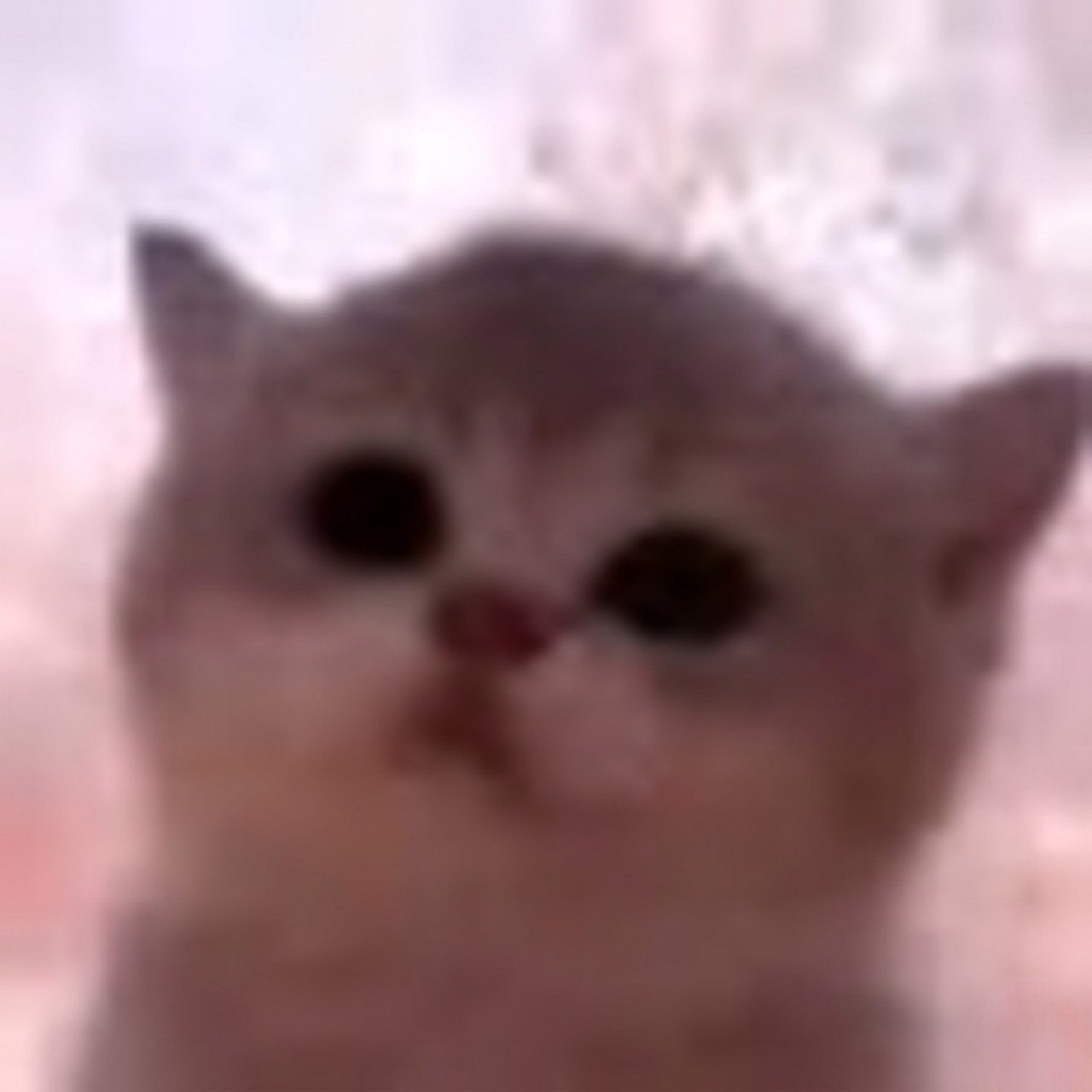 JAMCAT