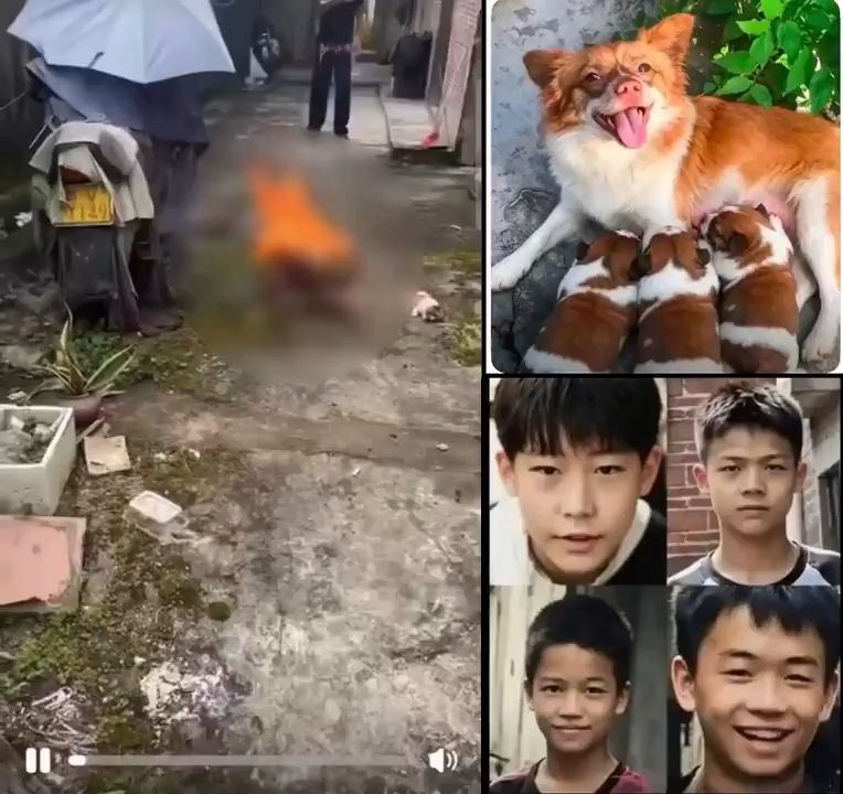WANG