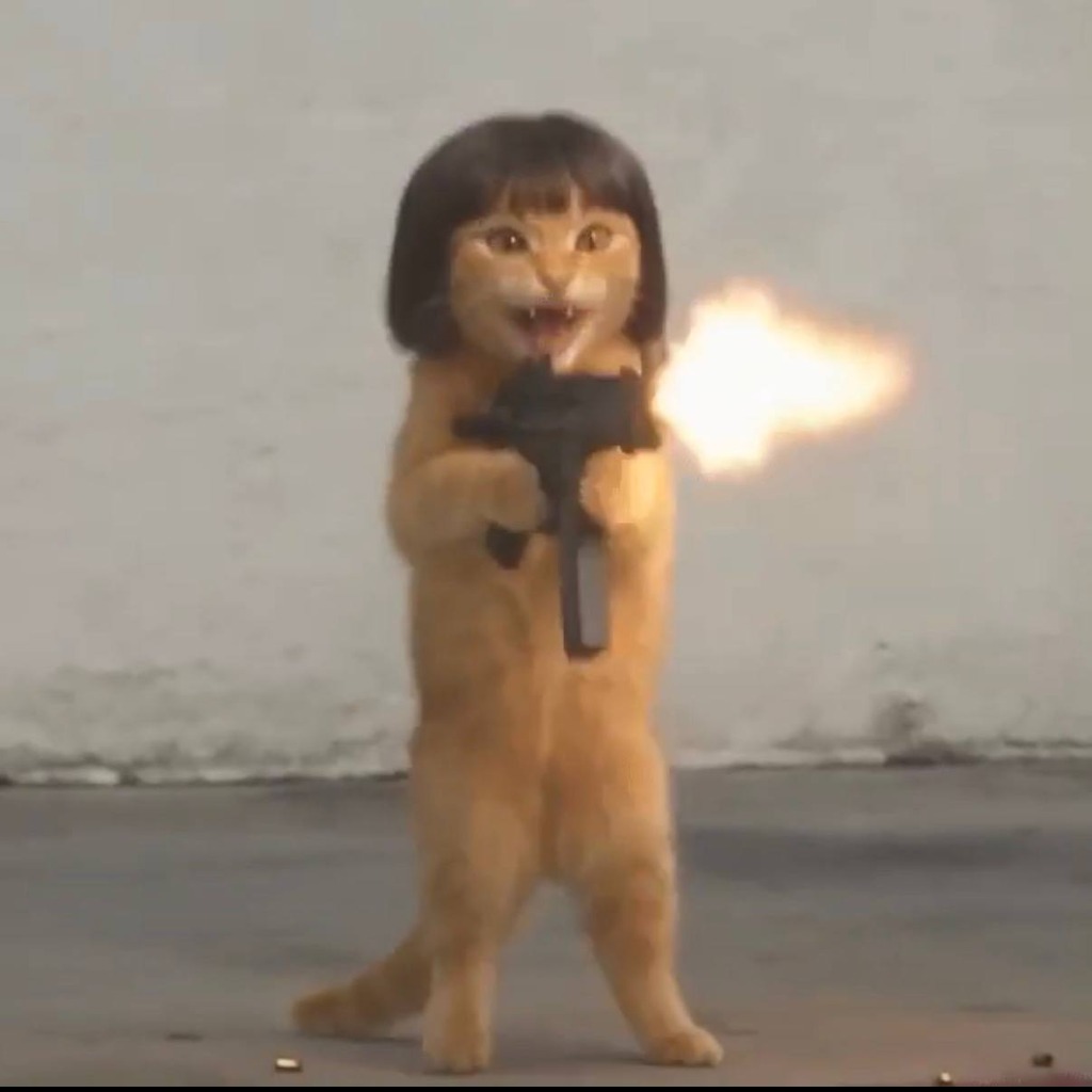 mp5cat