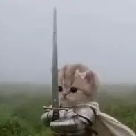 SWORDCAT