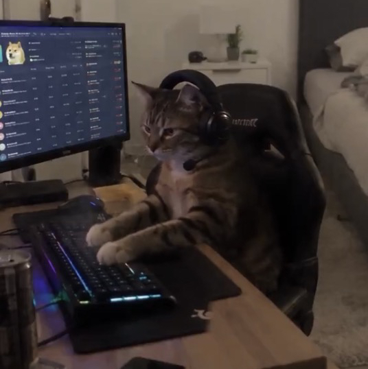 Trenchcat