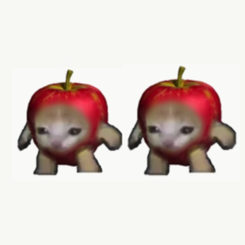duo