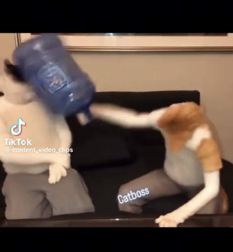 Thwack