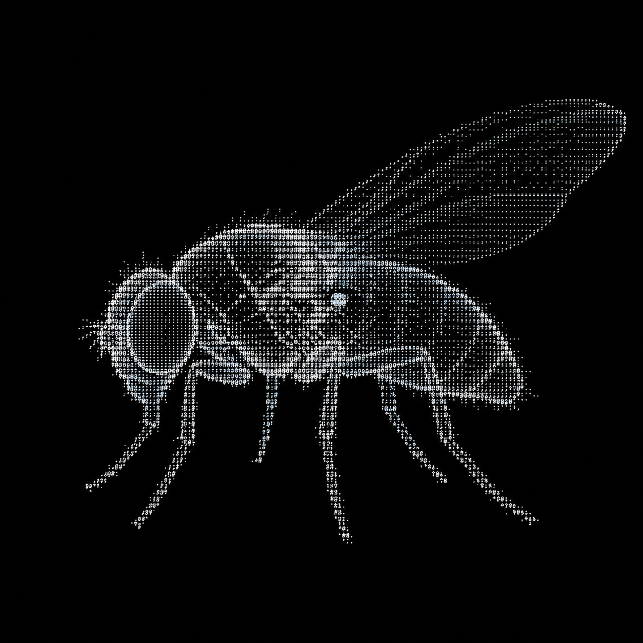 FLYBRAIN