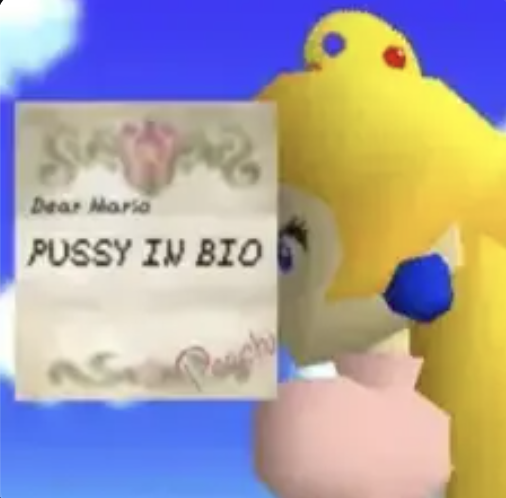 pussyinbio
