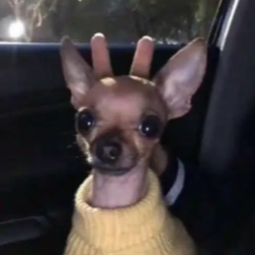 twaniimals