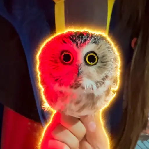 smowl