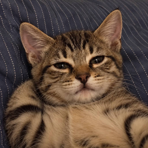 Tommie