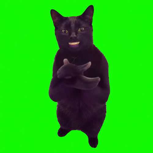 CCAT