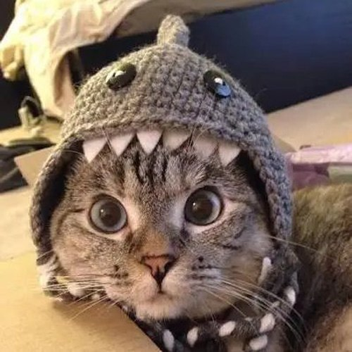 NALA