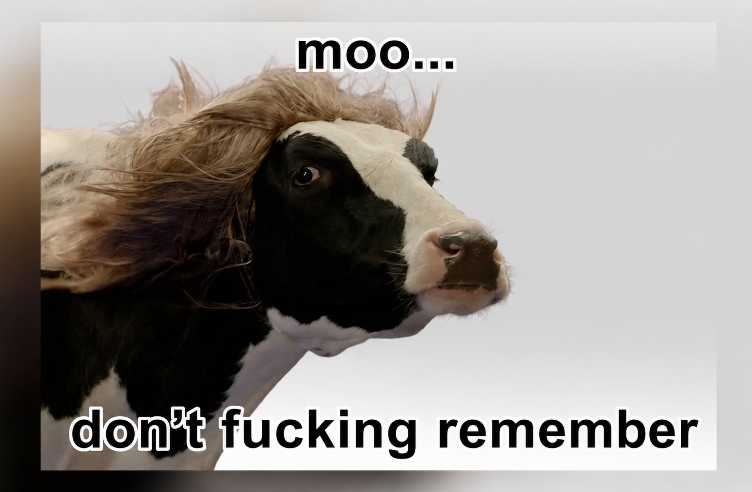 MOO