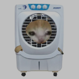 AC